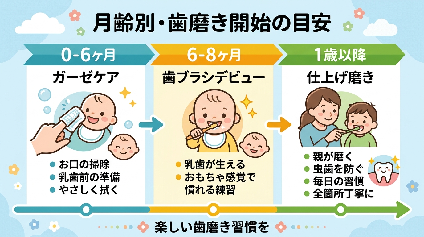 月齢別の歯磨き開始タイミングを示すタイムライン。0-6ヶ月「ガーゼケア」→6-8ヶ月「歯ブラシデビュー」→1歳以降「仕上げ磨き」という3段階。画像内のすべてのテ...