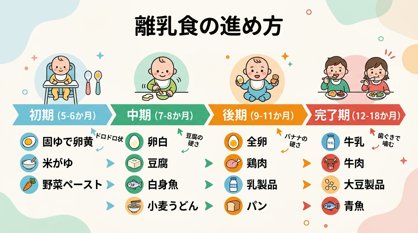 離乳食の4段階を横軸のタイムラインで表示。「初期（5-6か月）」→「中期（7-8か月）」→「後期（9-11か月）」→「完了期（12-18か月）」の4つの段階に、...