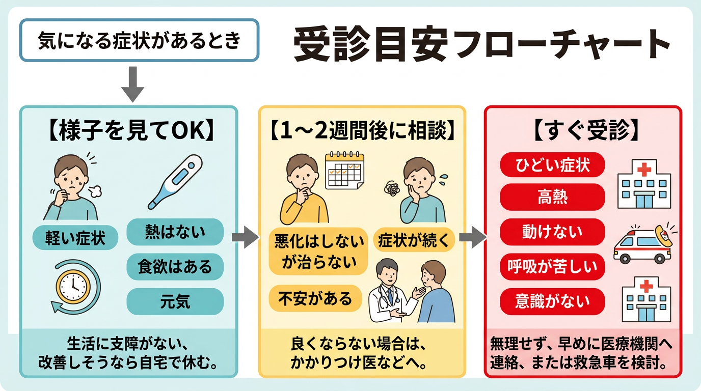 受診目安フローチャート（様子を見てok → 1〜2週間後に相談 → すぐ受診の判断フロー）