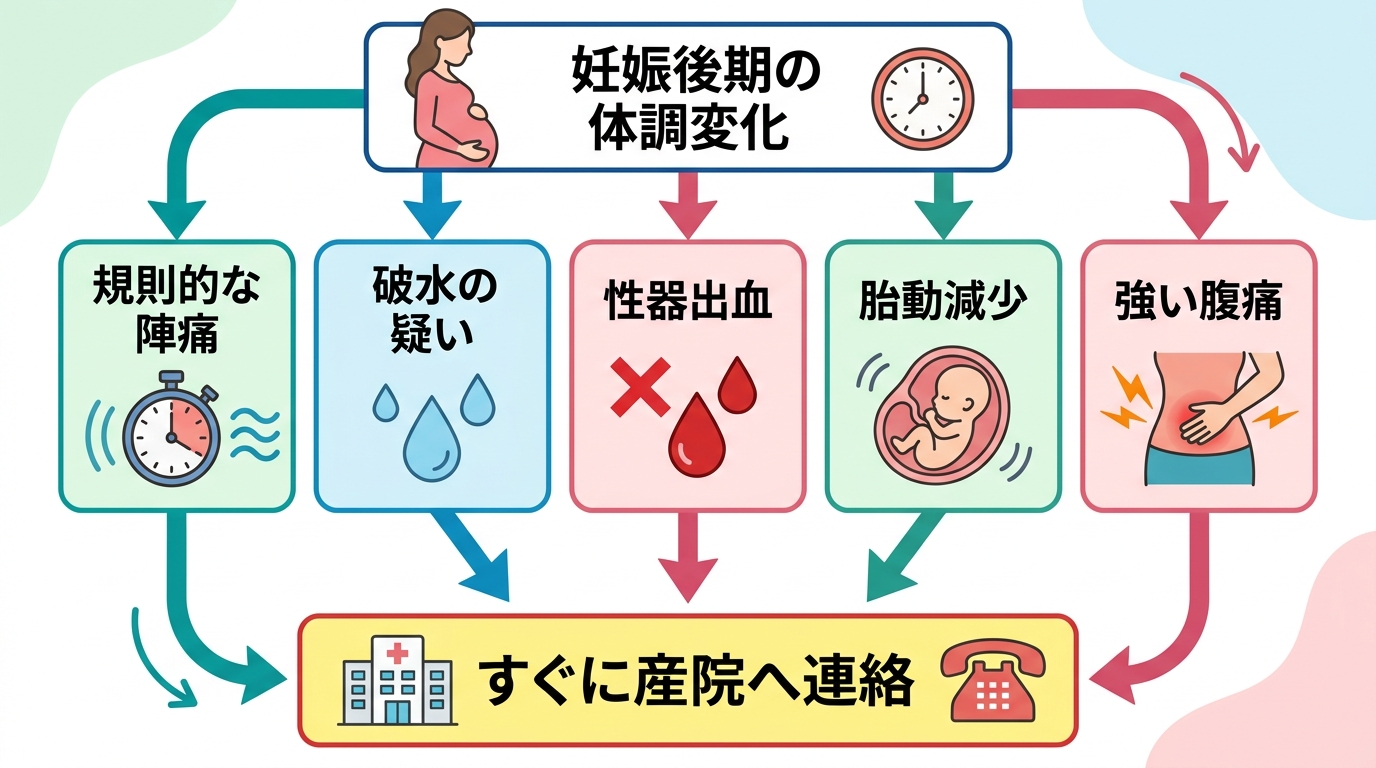 入院連絡が必要なサインのフローチャート。スタートに「妊娠後期の体調変化」を配置し、「規則的な陣痛」「破水の疑い」「性器出血」「胎動減少」「強い腹痛」の5項目から...