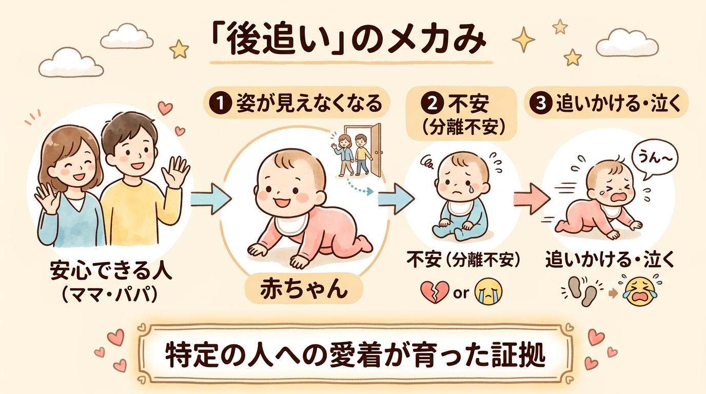 後追いが起こる仕組みの図解。中央に「赤ちゃん」、左に「安心できる人（ママ・パパ）」を置き、「姿が見えなくなる」→「不安（分離不安）」→「追いかける・泣く」という...