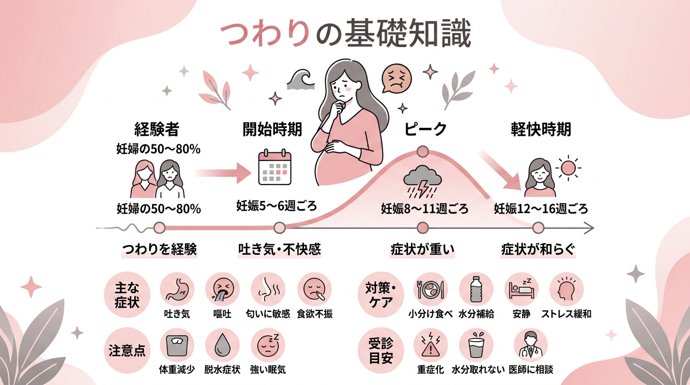 つわりの基礎知識をまとめたインフォグラフィック。「経験する人は妊婦の50〜80%」「開始は妊娠5〜6週ごろ」「ピークは8〜11週」「軽快は12〜16週ごろ」の4...