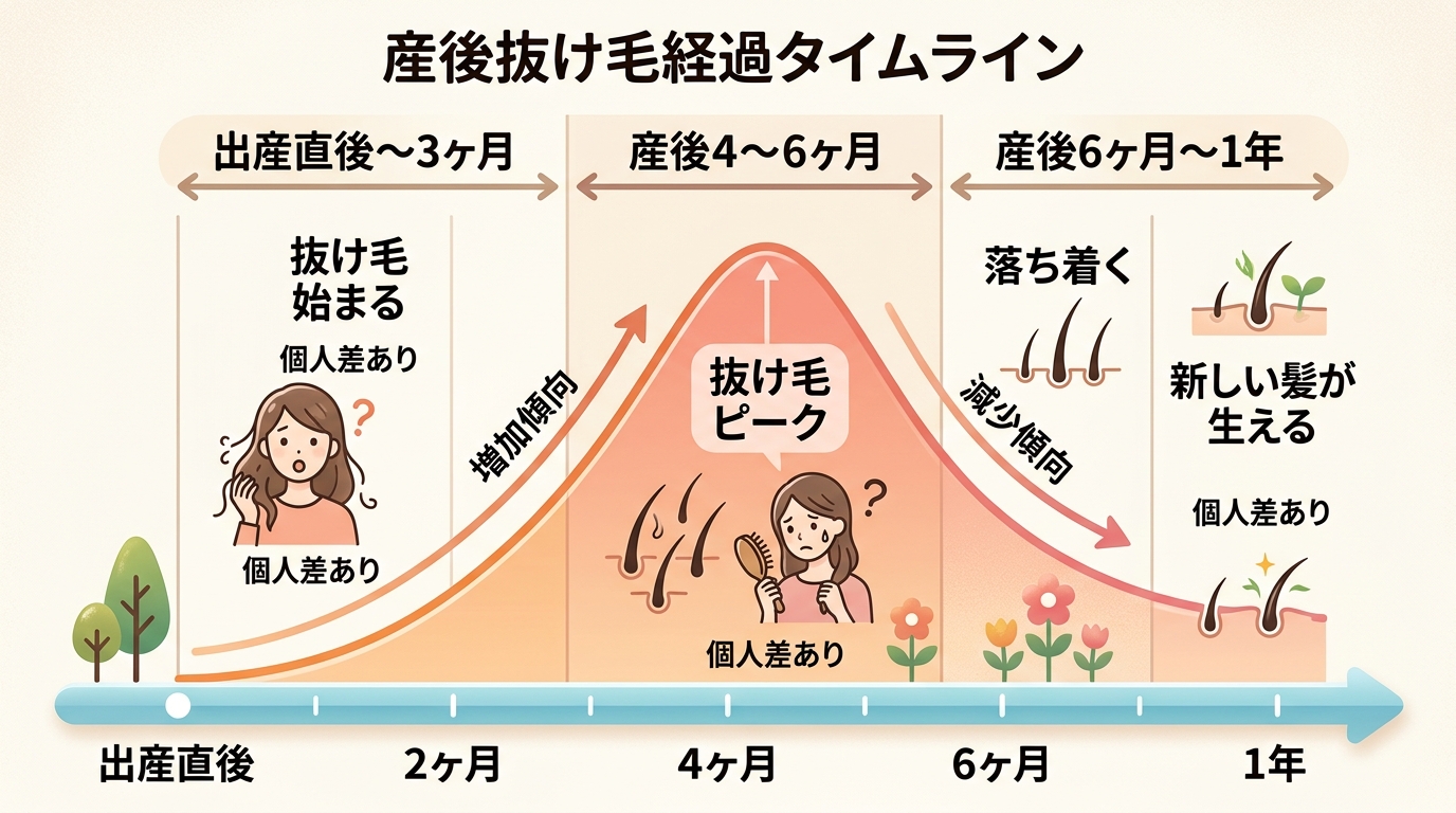産後の抜け毛の経過タイムライン図(横軸:出産直後〜1年)。「産後2〜3ヶ月:抜け毛が始まる」「産後4〜6ヶ月:ピーク」「産後6ヶ月〜1年:落ち着く・新しい髪が生...