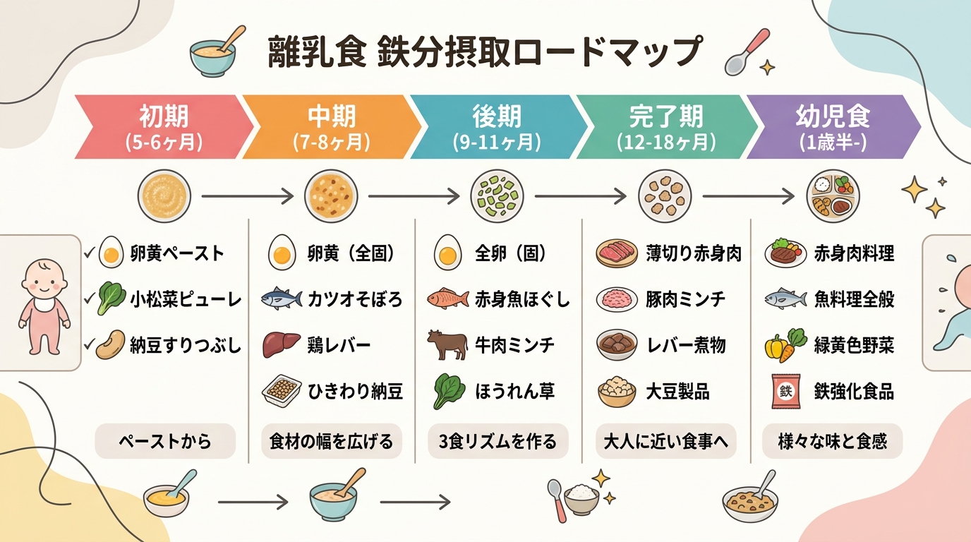 離乳食初期・中期・後期・完了期・幼児食の5段階を横軸タイムラインで並べた図解。各段階で取り入れたい鉄食材（卵黄、赤身魚、赤身肉、レバー、納豆、小松菜など）をアイ...