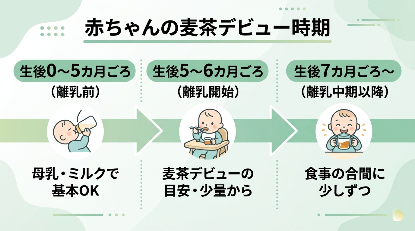 赤ちゃんの麦茶デビュー時期を示す横型タイムライン図。左から「生後0〜5カ月ごろ（離乳前）：母乳・ミルクで基本ok」→「生後5〜6カ月ごろ（離乳開始）：麦茶デビュ...