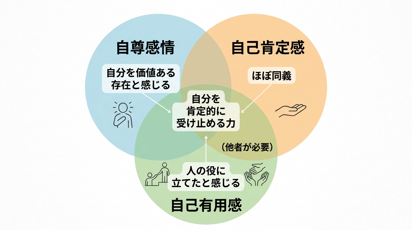 自己肯定感・自尊感情・自己有用感の関係を整理した3つの円のベン図。「自尊感情＝自分を価値ある存在と感じる」「自己肯定感＝ほぼ同義」「自己有用感＝人の役に立てたと...