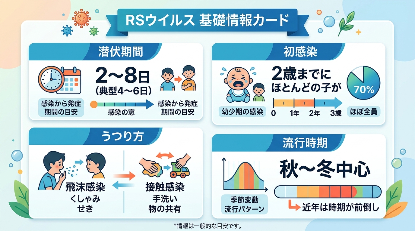 Rsウイルスの基礎情報カード。「潜伏期間：2〜8日（典型4〜6日）」「2歳までにほとんどの子が初感染」「うつり方：飛沫・接触」「流行：秋〜冬が中心だが近年は時期...