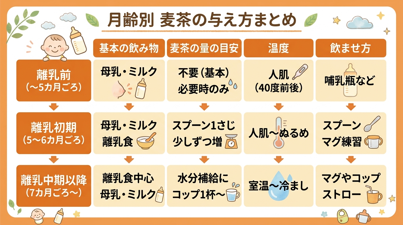 月齢別の麦茶の与え方をまとめた表形式インフォグラフィック。縦に「離乳前（〜5カ月ごろ）」「離乳初期（5〜6カ月ごろ）」「離乳中期以降（7カ月ごろ〜）」の3行、横...