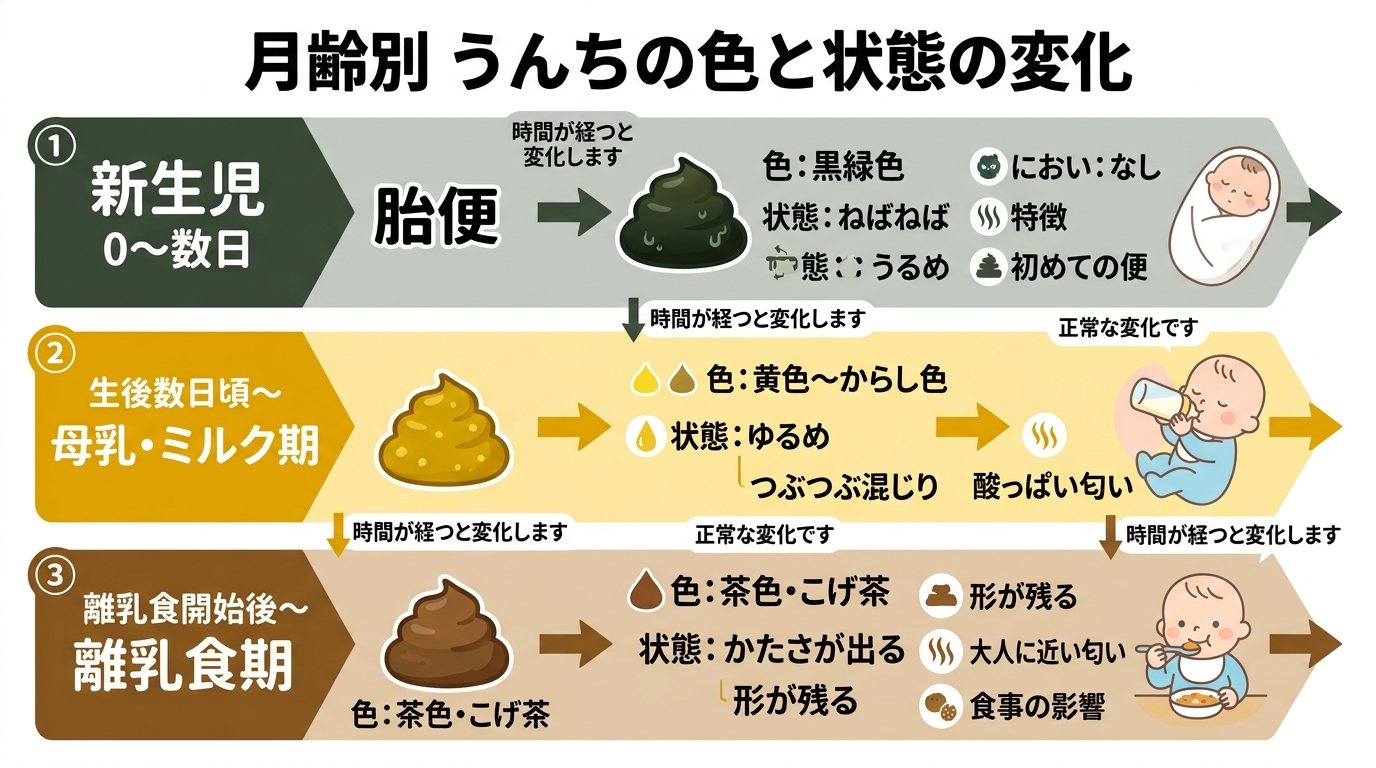 月齢別のうんちの色と状態の変化を示すタイムライン表。「新生児（胎便：黒緑・ねばねば）」「母乳・ミルク期（黄色〜からし色・ゆるめ）」「離乳食期（茶色・かたさが出る...