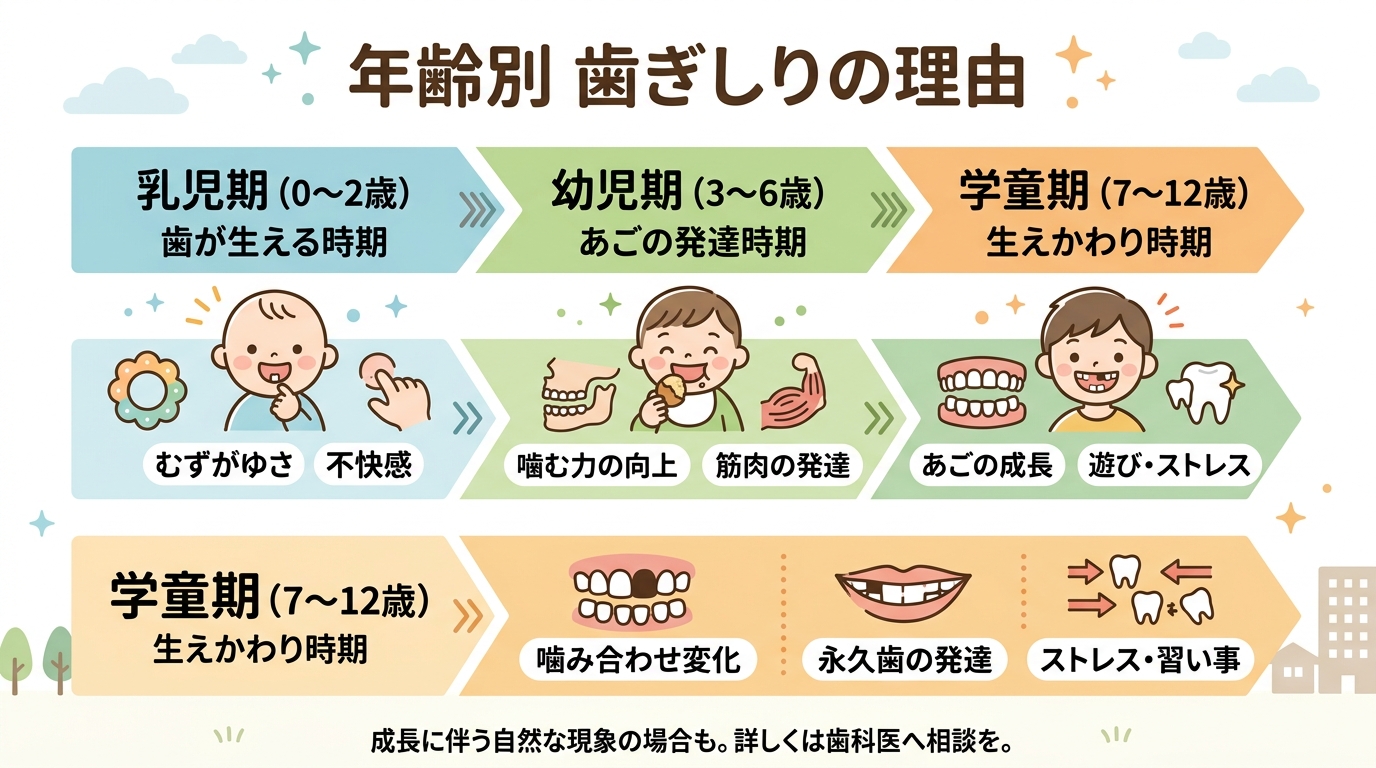 年齢別の歯ぎしりの理由をまとめたタイムライン表。「乳児期（歯が生える時期）：むずがゆさ・位置の確認」「幼児期：噛む力・あごの発達」「学童期（生えかわり）：噛み合...
