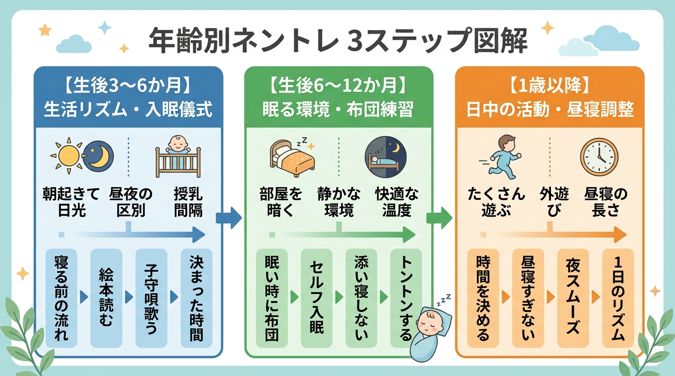 月齢別ネントレの進め方を3段階で示すステップ図。「生後3〜6か月：生活リズムと入眠儀式づくり」「生後6〜12か月：眠る環境で布団に置く練習」「1歳以降：日中の活...