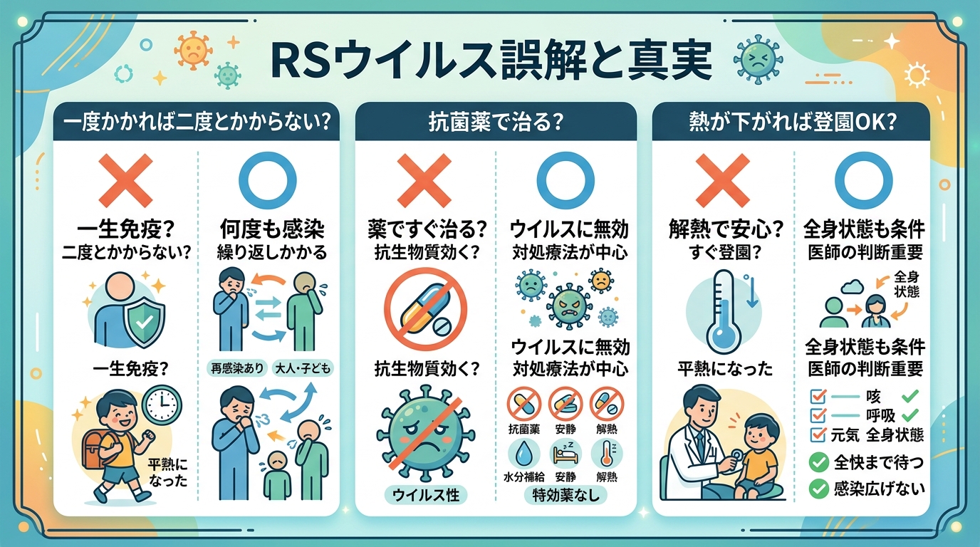 Rsウイルスのよくある誤解を◯×で示す比較カード。「一度かかれば二度とかからない?→何度もかかる」「抗菌薬で治る?→ウイルスには効かない」「熱が下がれば登園ok...