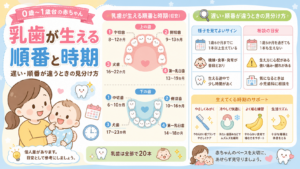 乳歯が生える順番と時期｜遅い・順番が違うときの見分け方