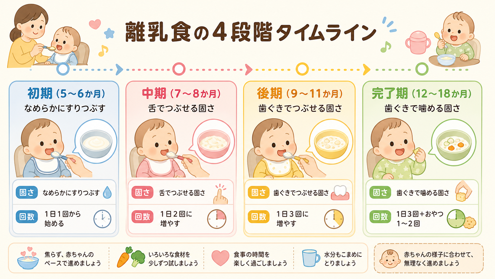 離乳食の4段階タイムライン図解。「初期（5〜6か月）：なめらかにすりつぶす」「中期（7〜8か月）：舌でつぶせる固さ」「後期（9〜11か月）：歯ぐきでつぶせる固さ...