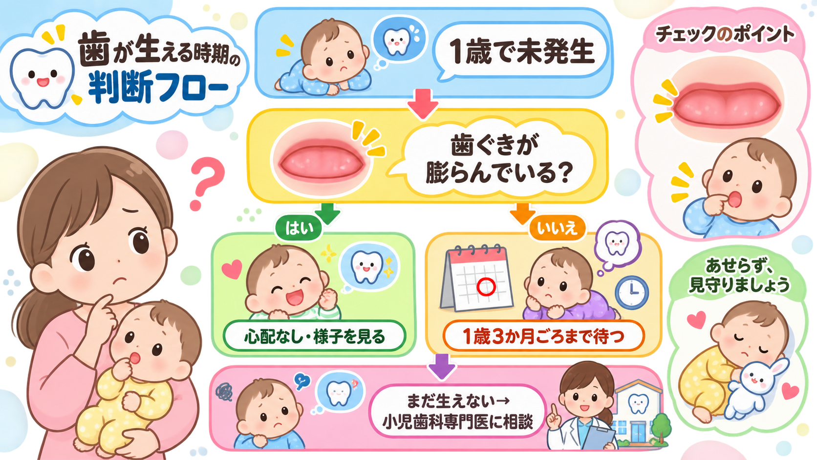 歯が生える時期の判断フローを縦のフローチャートで示した図解。「1歳で未発生」→「歯ぐきが膨らんでいる？」の分岐。YES→「心配なし・様子を見る」、NO→「1歳3...