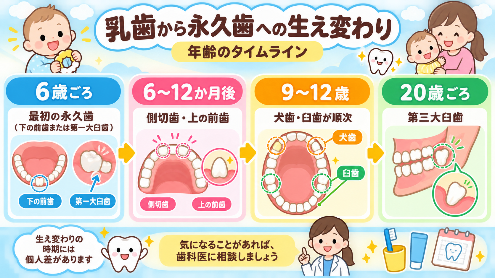 乳歯から永久歯への生え変わりを年齢のタイムラインで示した図解。「6歳ごろ：最初の永久歯（下の前歯または第一大臼歯）」「6〜12か月後：側切歯・上の前歯」「9〜1...